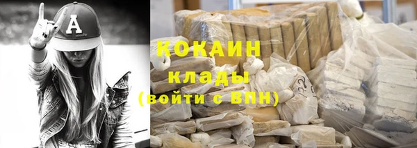 гидра Абаза