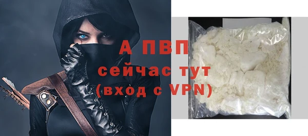 гидра Абаза