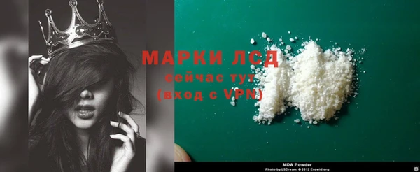 гидра Абаза