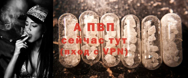 гидра Абаза