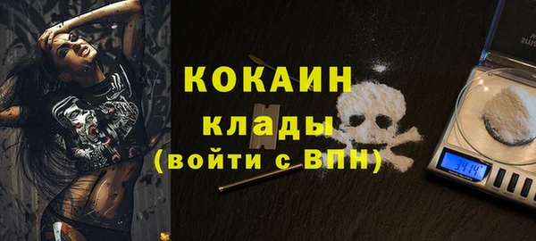 гидра Абаза