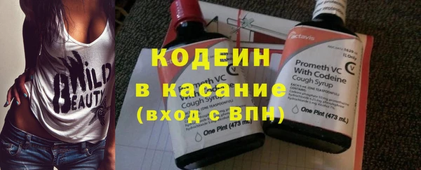 гидра Абаза