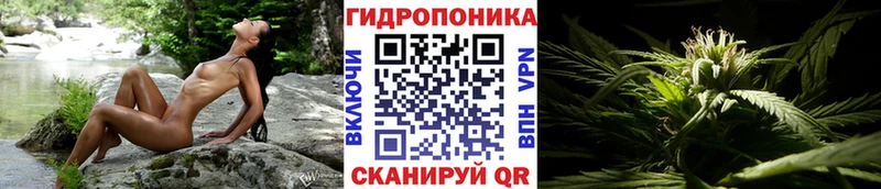Конопля OG Kush Смоленск